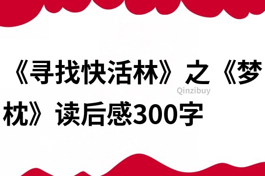 《寻找快活林》之《梦枕》读后感300字