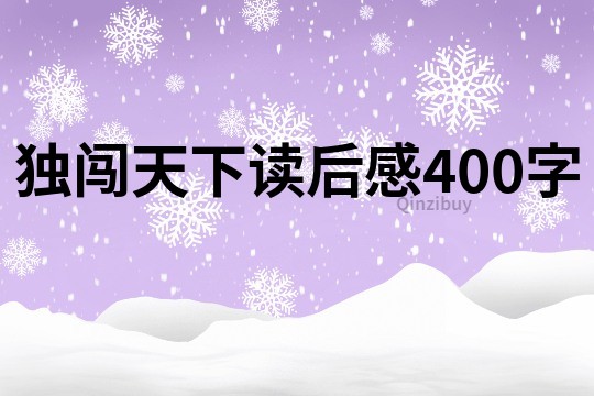 独闯天下读后感400字