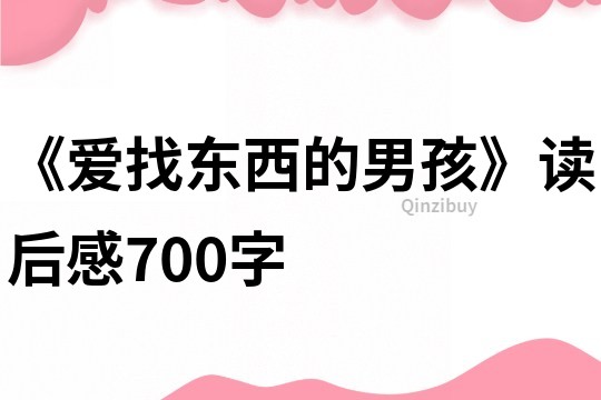 《爱找东西的男孩》读后感700字