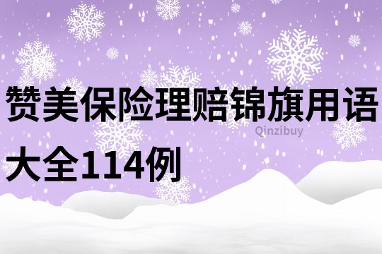 赞美保险理赔锦旗用语大全114例