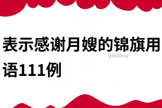 表示感谢月嫂的锦旗用语111例