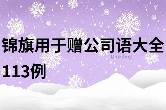 锦旗用于赠公司语大全113例