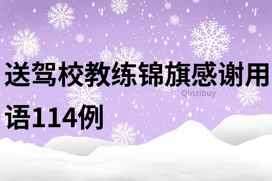 送驾校教练锦旗感谢用语114例