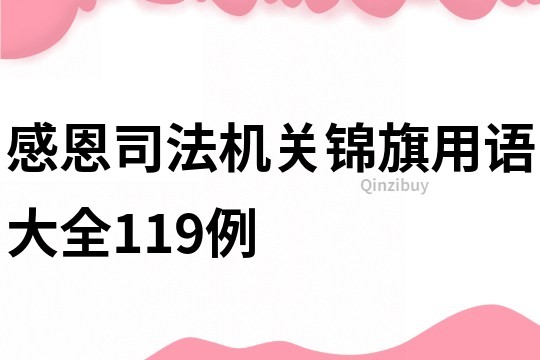 感恩司法机关锦旗用语大全119例