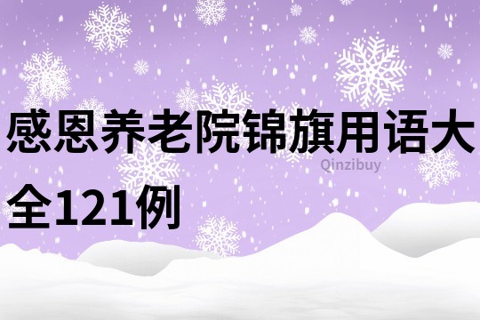 感恩养老院锦旗用语大全121例