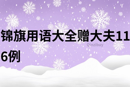 锦旗用语大全赠大夫116例