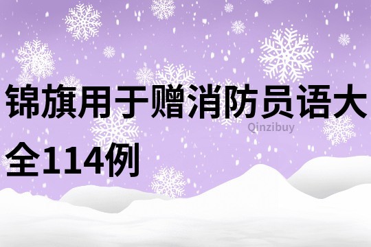 锦旗用于赠消防员语大全114例