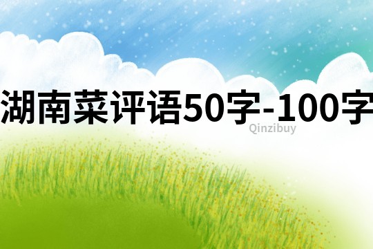 湖南菜评语50字-100字