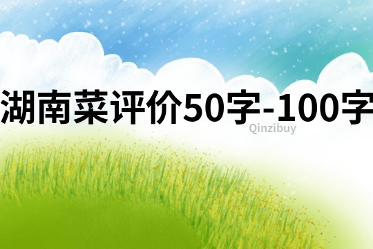 湖南菜评价50字-100字