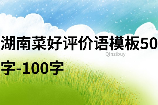 湖南菜好评价语模板50字-100字