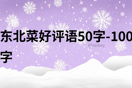 东北菜好评语50字-100字