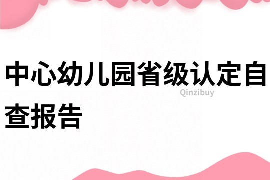 中心幼儿园省级认定自查报告