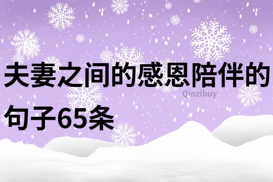 夫妻之间的感恩陪伴的句子65条