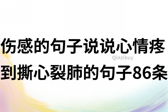 伤感的句子说说心情,疼到撕心裂肺的句子86条