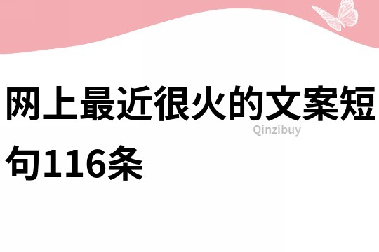 网上最近很火的文案短句116条