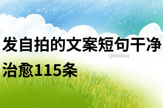 发自拍的文案短句干净治愈115条