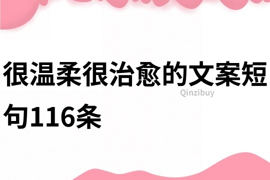 很温柔很治愈的文案短句116条