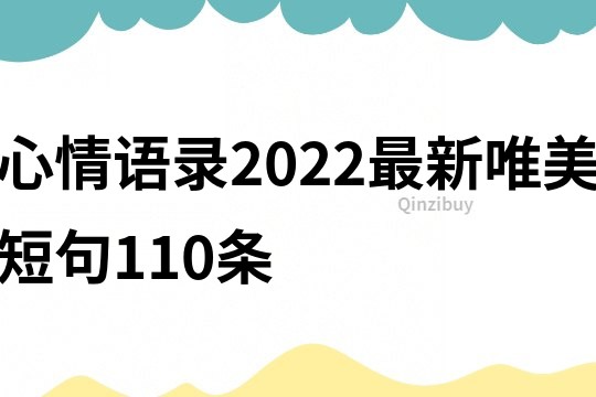 心情语录2022最新唯美短句110条