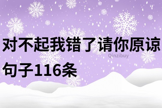 对不起我错了请你原谅句子116条