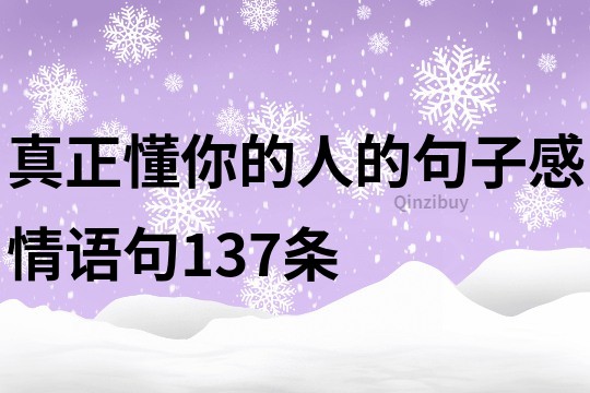 真正懂你的人的句子感情语句137条