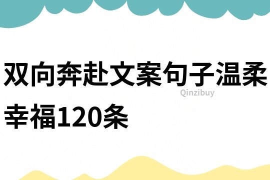 双向奔赴文案句子温柔幸福120条