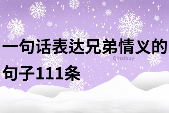 一句话表达兄弟情义的句子111条