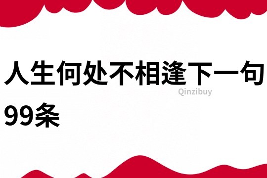 人生何处不相逢下一句99条