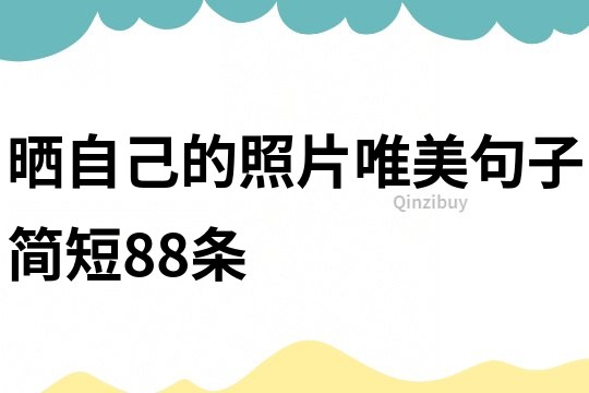 晒自己的照片唯美句子简短88条