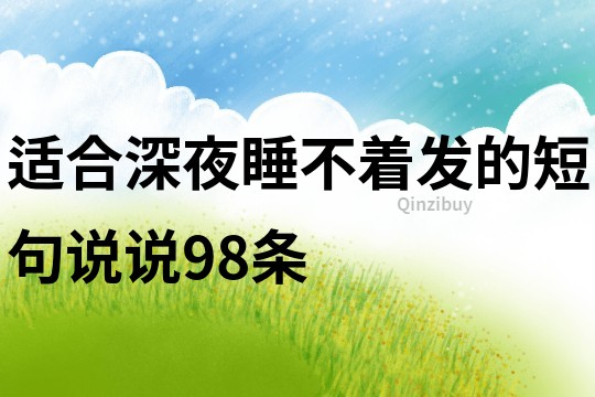 适合深夜睡不着发的短句说说98条