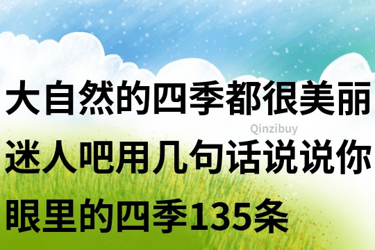 大自然的四季都很美丽迷人吧用几句话说说你眼里的四季135条