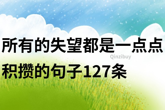 所有的失望都是一点点积攒的句子127条