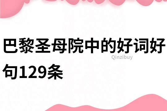 巴黎圣母院中的好词好句129条