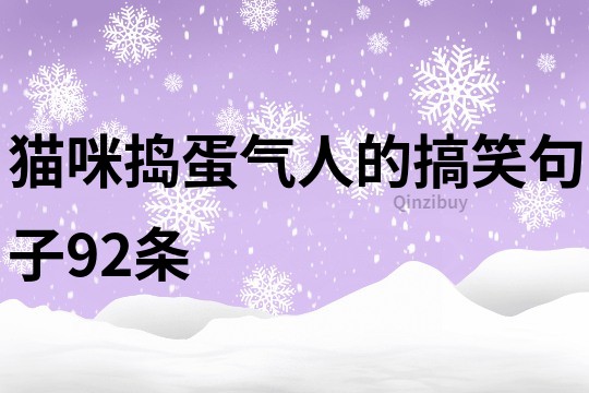 猫咪捣蛋气人的搞笑句子92条