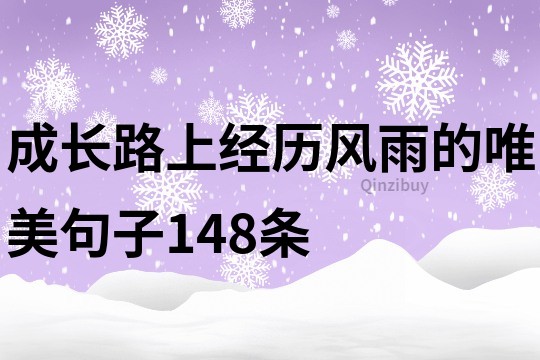 成长路上经历风雨的唯美句子148条