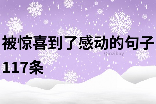 被惊喜到了感动的句子117条