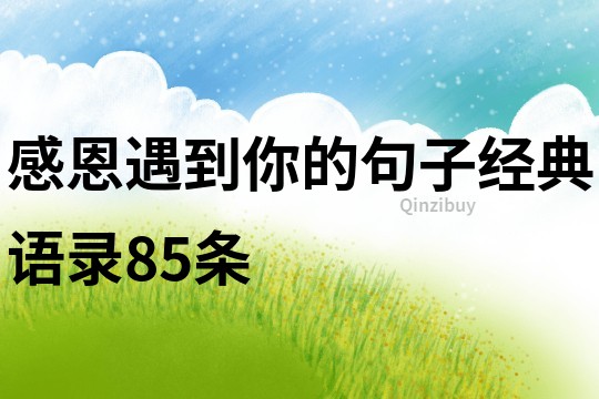 感恩遇到你的句子经典语录85条