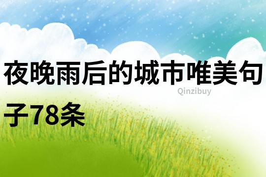 夜晚雨后的城市唯美句子78条