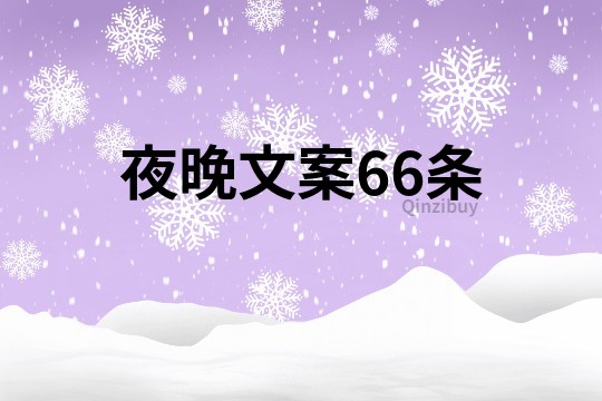 夜晚文案66条