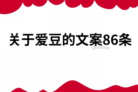 关于爱豆的文案86条