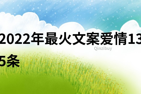 2022年最火文案爱情135条