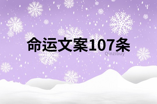 命运文案107条