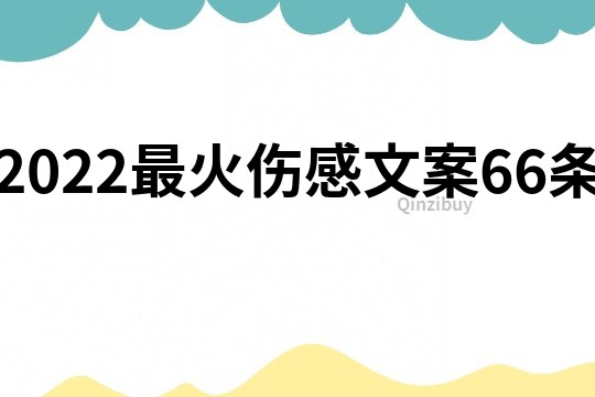 2022最火伤感文案66条