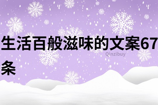 生活百般滋味的文案67条