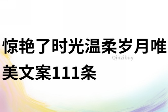 惊艳了时光温柔岁月唯美文案111条