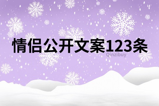 情侣公开文案123条