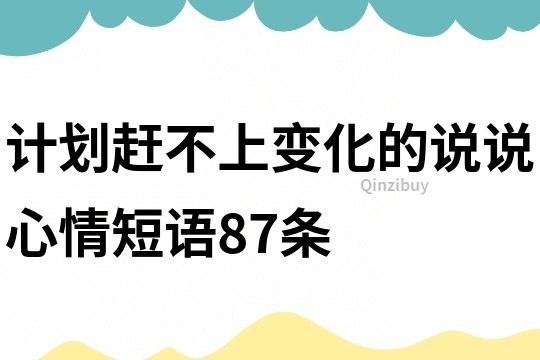 计划赶不上变化的说说心情短语87条