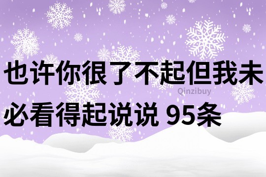 也许你很了不起但我未必看得起说说	95条