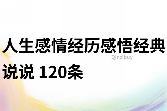 人生感情经历感悟经典说说	120条