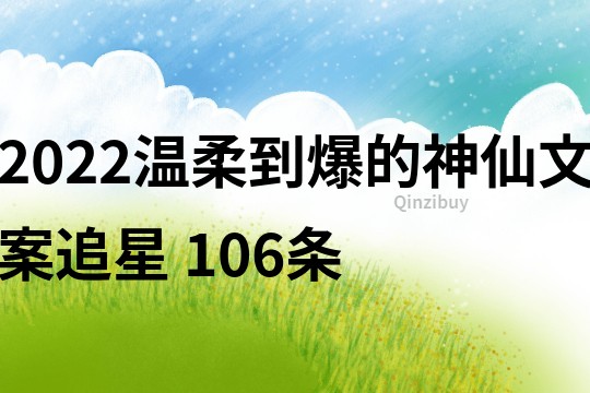 2022温柔到爆的神仙文案追星	106条