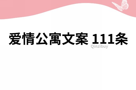 爱情公寓文案	111条